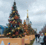 Новогодняя ель Тверской области украсила ВДНХ на Международной выставке «Россия» - Газета Нелидовские известия