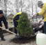 Общий дом – общая забота: озеленяем и облагораживаем! - Нелидовский городской округ